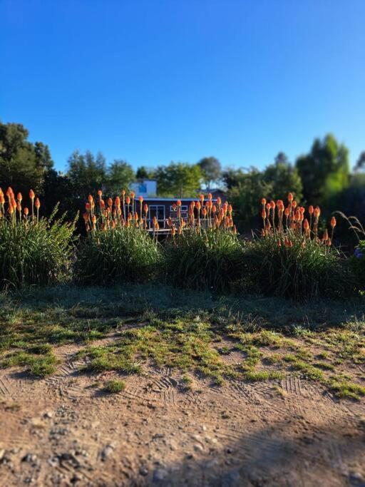 Cabana Cerca Del Aeropuerto Puerto Montt Esterno foto